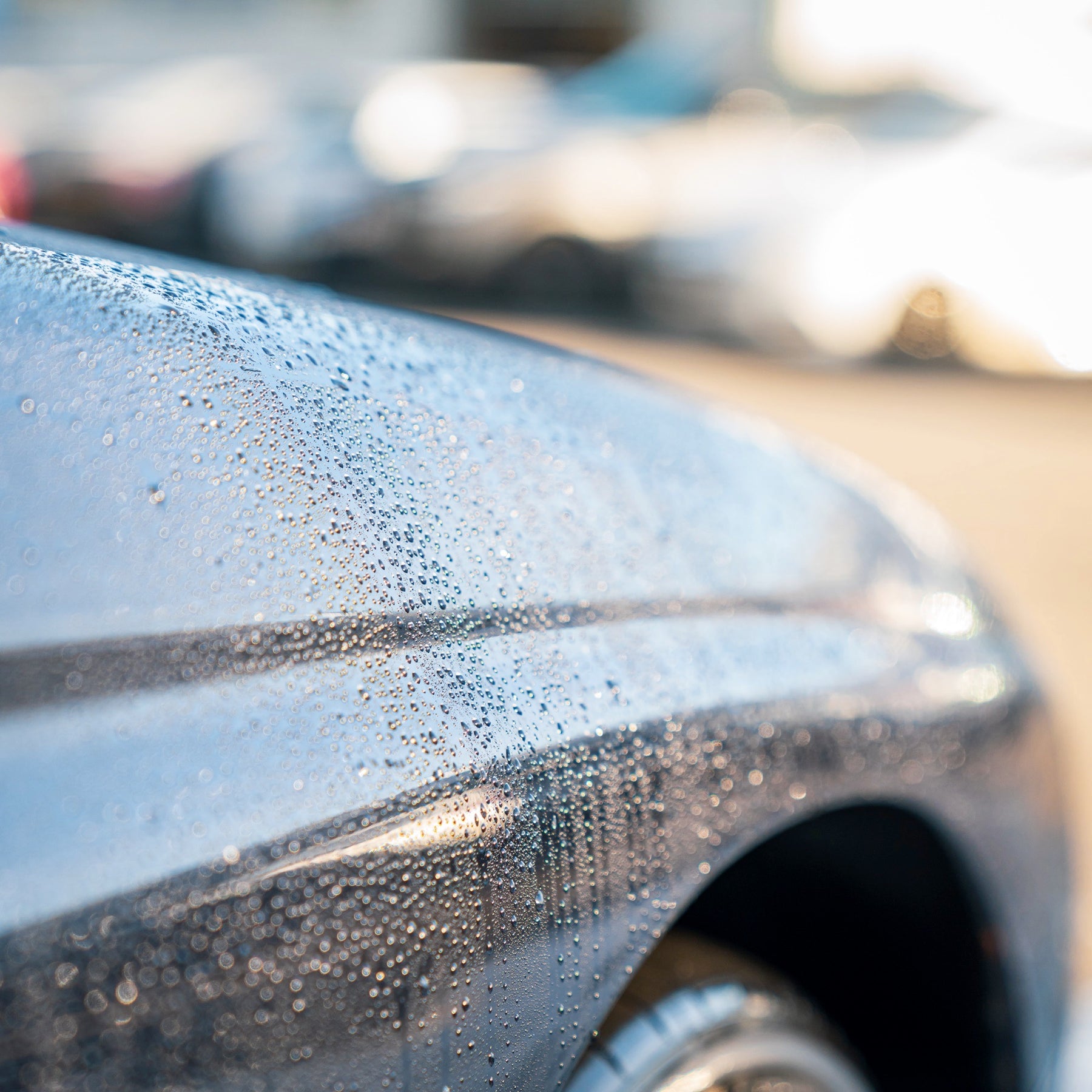 Spray Sealant